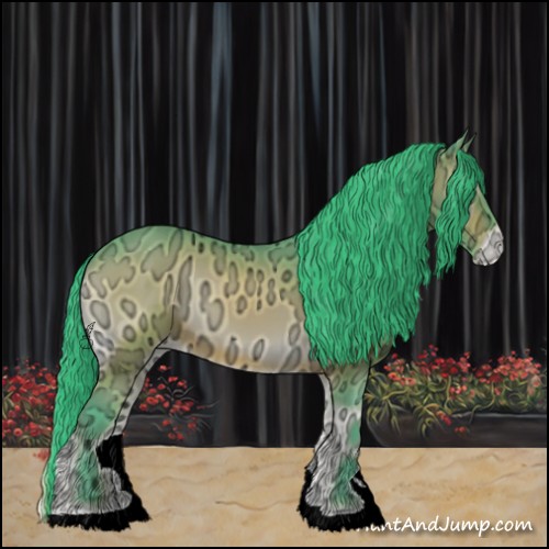 Horse Color:Watercolor Brown Ice Onyx Appaloosa 