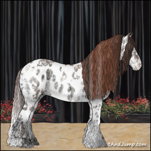 Horse Color:Sable Champagne Ice Onyx Splash Tobiano Appaloosa 