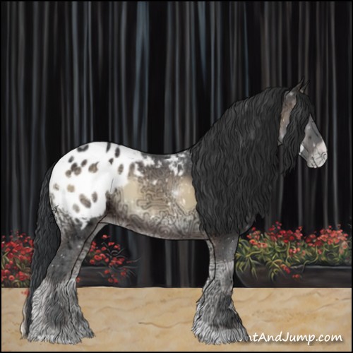 Horse Color:ERROR: UNKNOWN ANOMALY