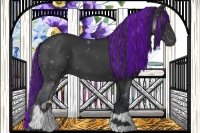 Horse Color:Painted Black 