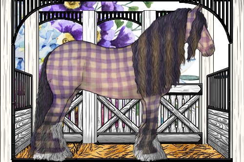 Horse Color:Plaid  Bay Dun 