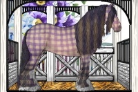 Horse Color:Plaid  Bay Dun 