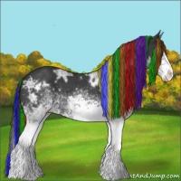 Horse Color:Painted White Spotted Black Ice