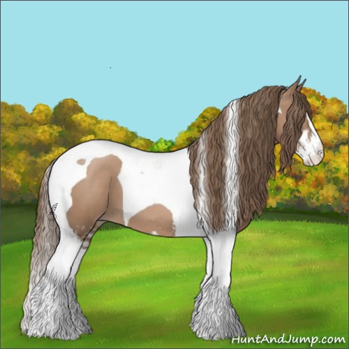 Horse Color:Black Pearl Sabino Tobiano