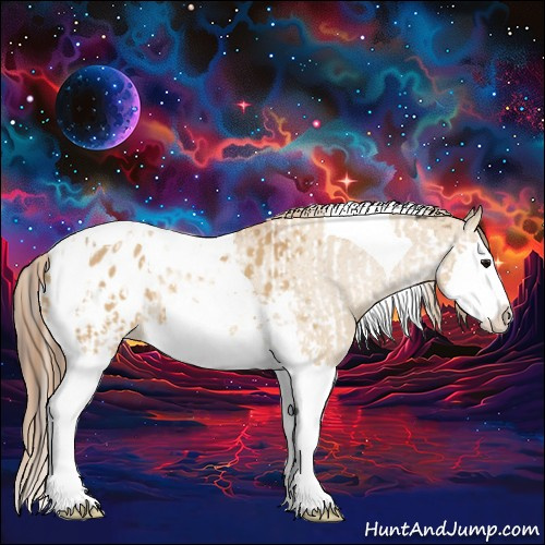 Horse Color:Bay Dun Splash Tobiano Appaloosa  and Red Dun Splash Tobiano Appaloosa 