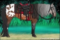 Horse Color:Bay Roan Frame Appaloosa 