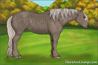 Horse Color:Silver Black 