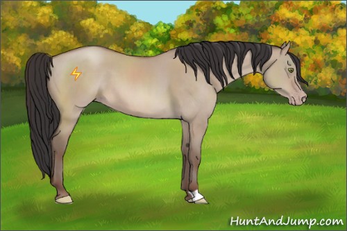Horse Color:Sable Champagne Dun 