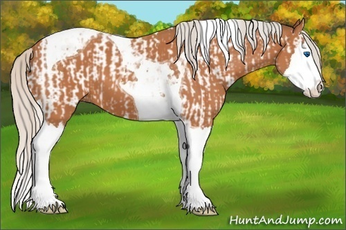 Horse Color:Silver Bay Splash Tobiano and Silver Bay Splash Tobiano