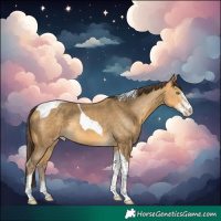 Horse Color:Amber Cream Champagne Sabino Tobiano 