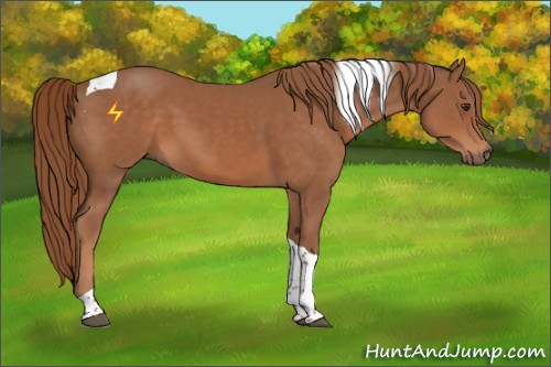 Horse Color:Chestnut Tobiano 
