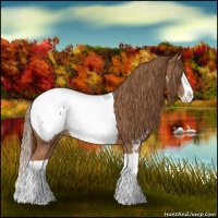 Horse Color:Chestnut Splash Snowcap 