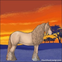 Horse Color:Gold Champagne 