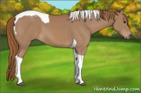 Horse Color:Chestnut Tobiano 