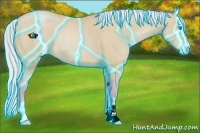 Horse Color:Thunderstruck Watercolor Silver Buckskin Pearl Sabino Rabicano