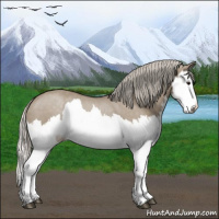 Horse Color:Silver Grullo Splash 