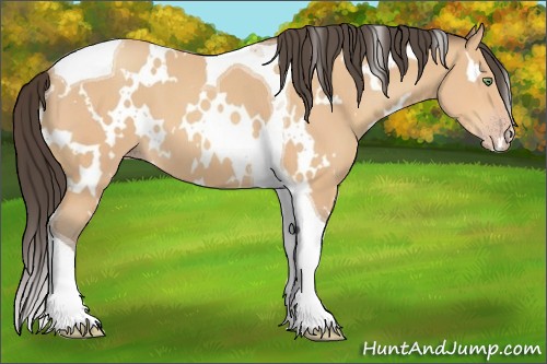 Horse Color:White Spotted Amber Champagne Tobiano