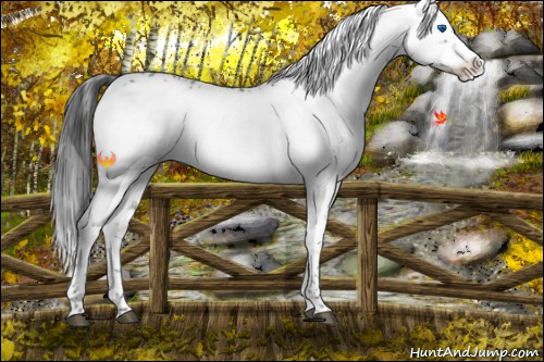 Horse Color:Black Frame