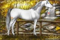 Horse Color:Black Frame 