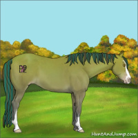 Horse Color:Painted Amber Champagne Sabino