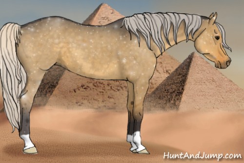 Horse Color:Silver Smoky Grullo 