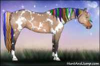 Horse Color:Painted White Spotted Brown Roan Dun 