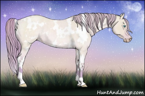 Horse Color:Watercolor White Spotted Perlino Roan Dun 