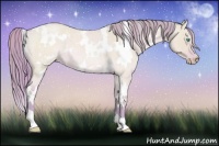 Horse Color:Watercolor White Spotted Perlino Roan Dun 