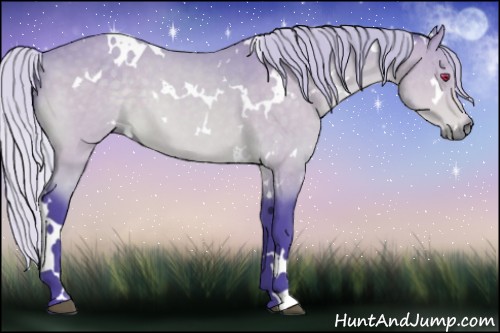 Horse Color:Watercolor White Spotted Silver Buckskin Chinchilla 