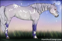 Horse Color:Watercolor White Spotted Silver Buckskin Chinchilla 