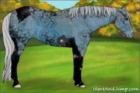 Horse Color:ERROR: UNKNOWN ANOMALY
