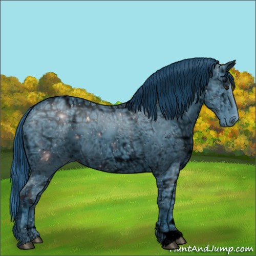 Horse Color:ERROR: UNKNOWN ANOMALY