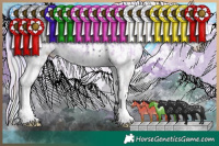 Horse Color:Void Watercolor Plaid White Spotted Chocolate Silver Sable Champagne Chinchilla Ice Onyx Mushroom Sabino and Nacre Plaid White Spotted Buckskin Chinchilla Ice Pearl Onyx Mushroom Splash Appaloosa