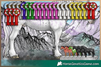 Horse Color:Void Watercolor Plaid  White Spotted Chocolate Silver Sable Champagne Chinchilla Ice Onyx Mushroom Sabino  and Nacre Plaid  White Spotted Buckskin Chinchilla Ice Pearl Onyx Mushroom Splash Appaloosa 