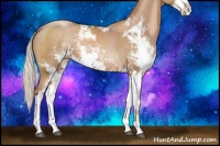 Horse Color:Silver Black Pearl Sabino 