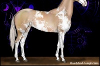 Horse Color:Silver Black Pearl Sabino 