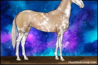 Horse Color:Silver Black Pearl Sabino 