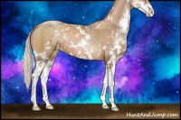 Horse Color:Silver Black Pearl Sabino 