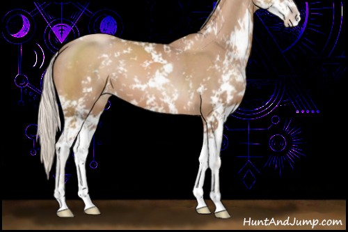 Horse Color:Silver Black Pearl Sabino 