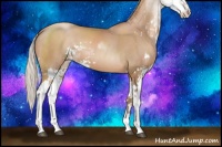 Horse Color:Silver Black Pearl Sabino 