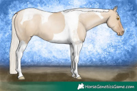 Horse Color:Silver Grullo Pearl Tobiano