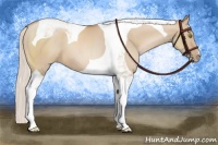 Horse Color:Silver Grullo Pearl Tobiano