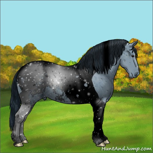 Horse Color:ERROR: UNKNOWN ANOMALY