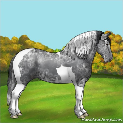 Horse Color:Black Ice Tobiano 