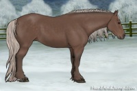 Horse Color:Silver Black 