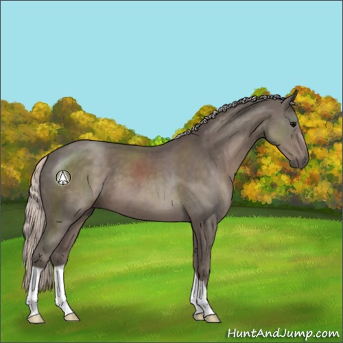 Horse Color:Silver Black 