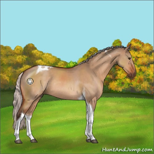 Horse Color:Silver Brown Dun Tobiano Rabicano 