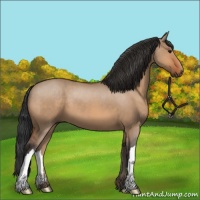Horse Color:Bay Dun