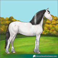 Horse Color:Platinum Amber Champagne Dun Tobiano 