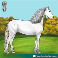 Horse Color:Smoky Grullo Appaloosa Brindle 